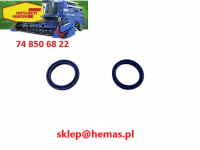 Uszczelnienie sworznia 21.061-31 N.T